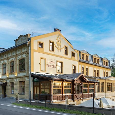 Penzion Praded Thamm Zlaté Hory Exterior foto